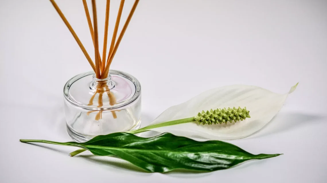 scent-1059419_1920
